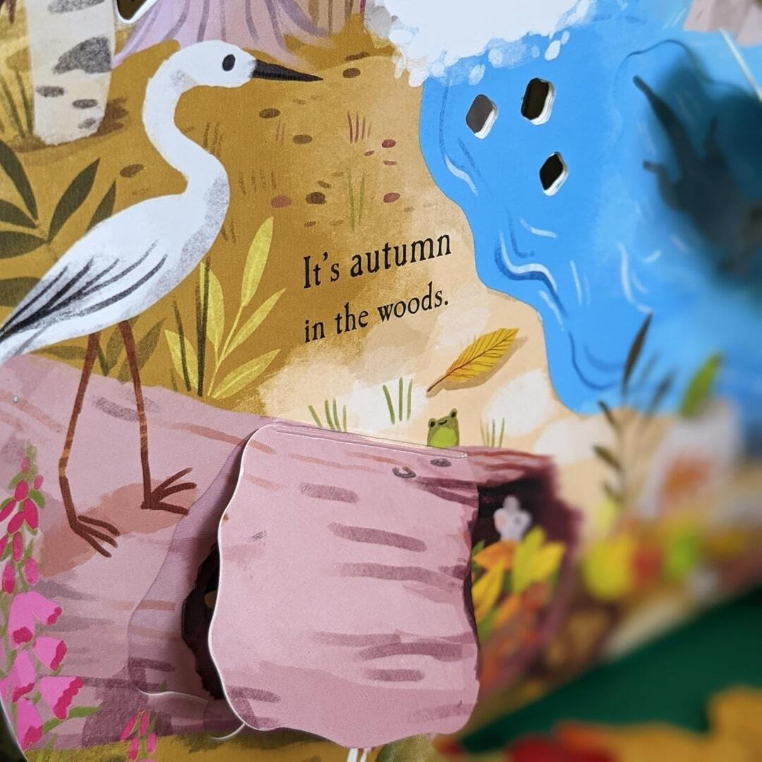 Let's Explore the Woods 3