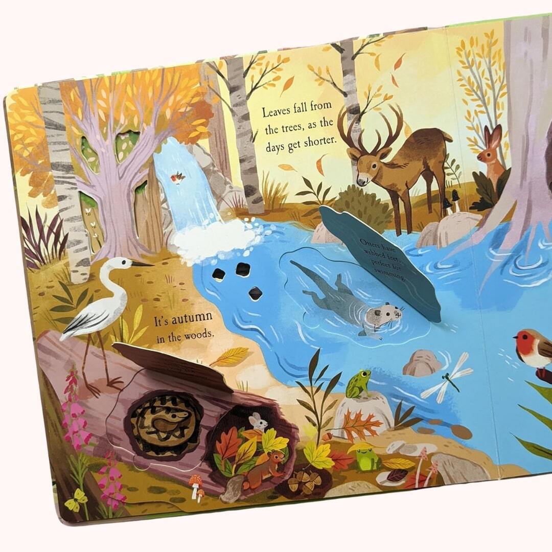 Let's Explore the Woods 2