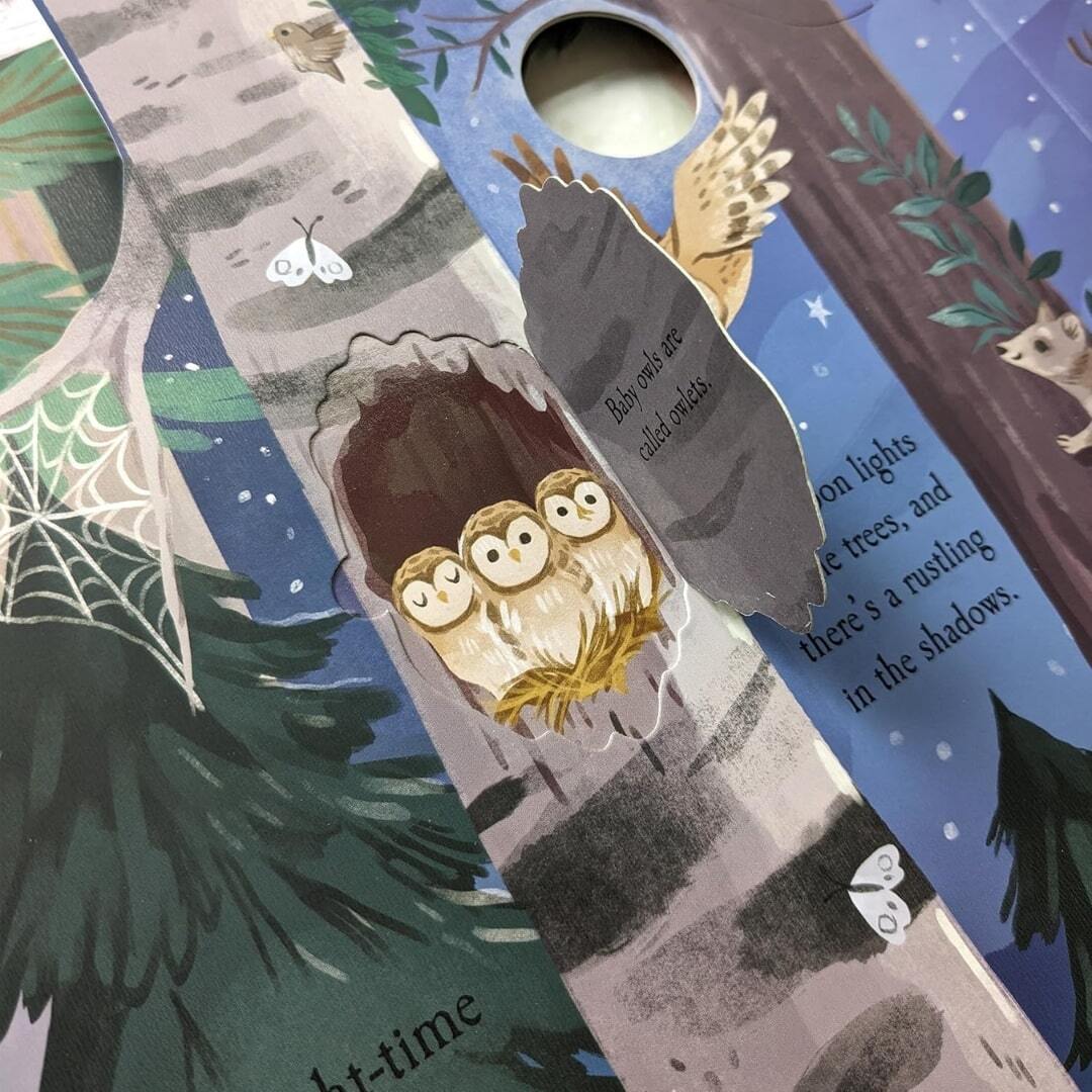 Let's Explore the Woods 4