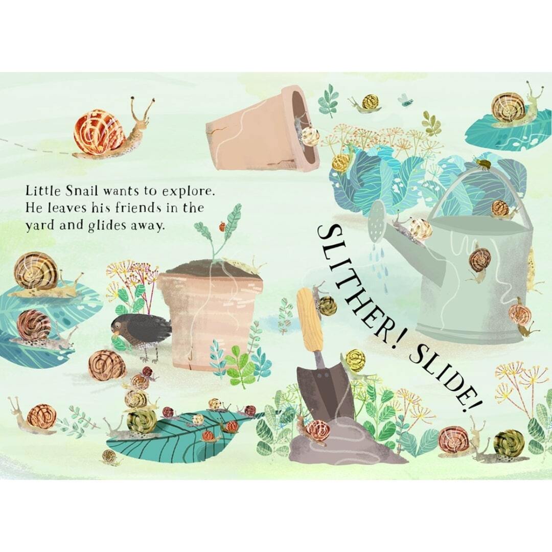 Little Snail's Book of Bugs 2