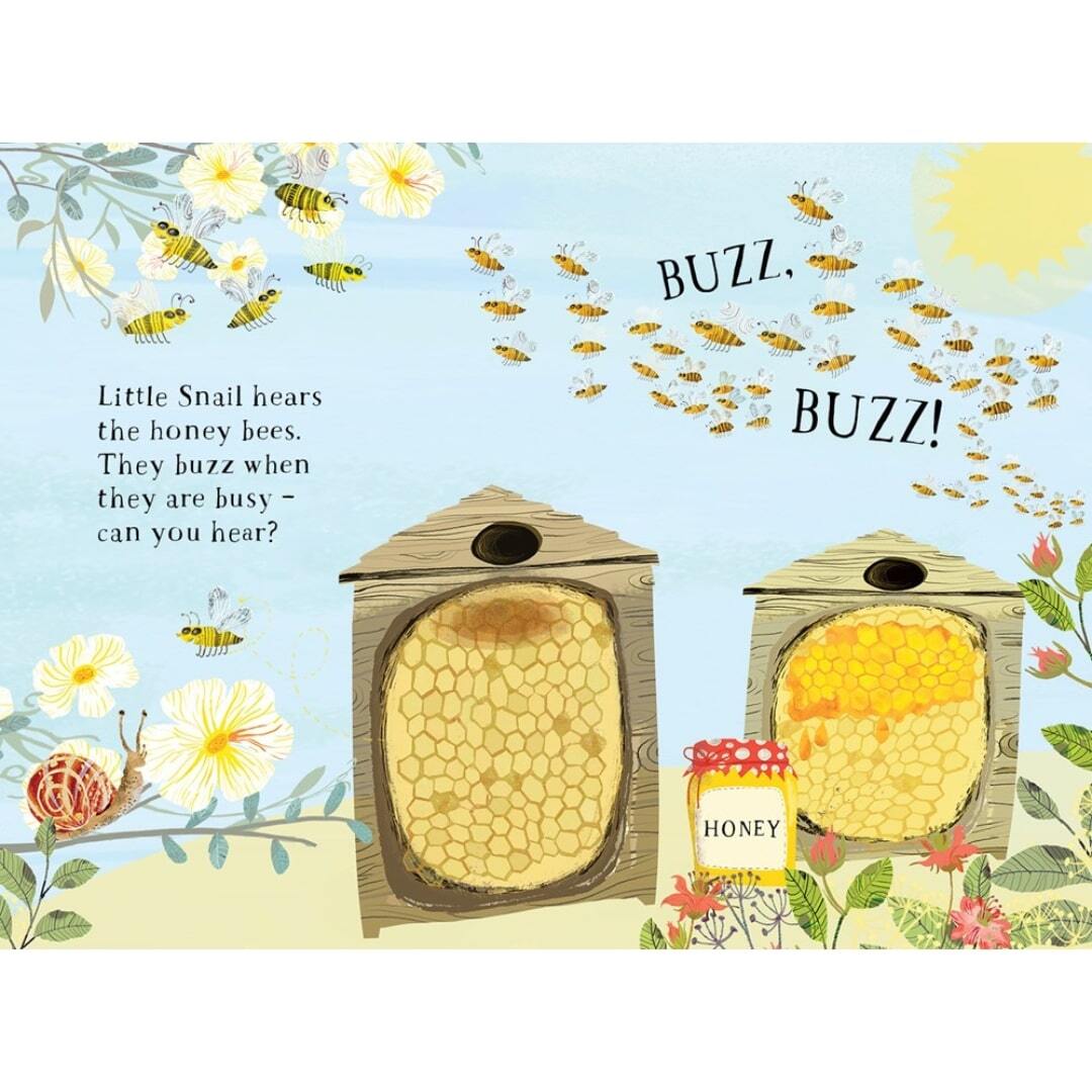 Little Snail's Book of Bugs 4