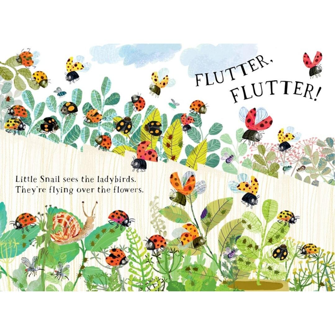 Little Snail's Book of Bugs 3