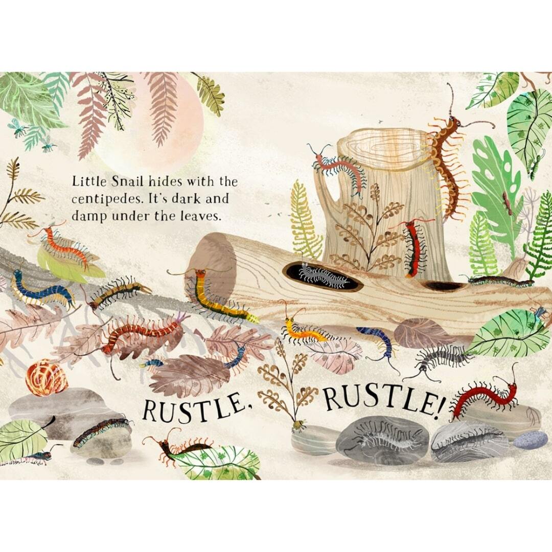 Little Snail's Book of Bugs 5