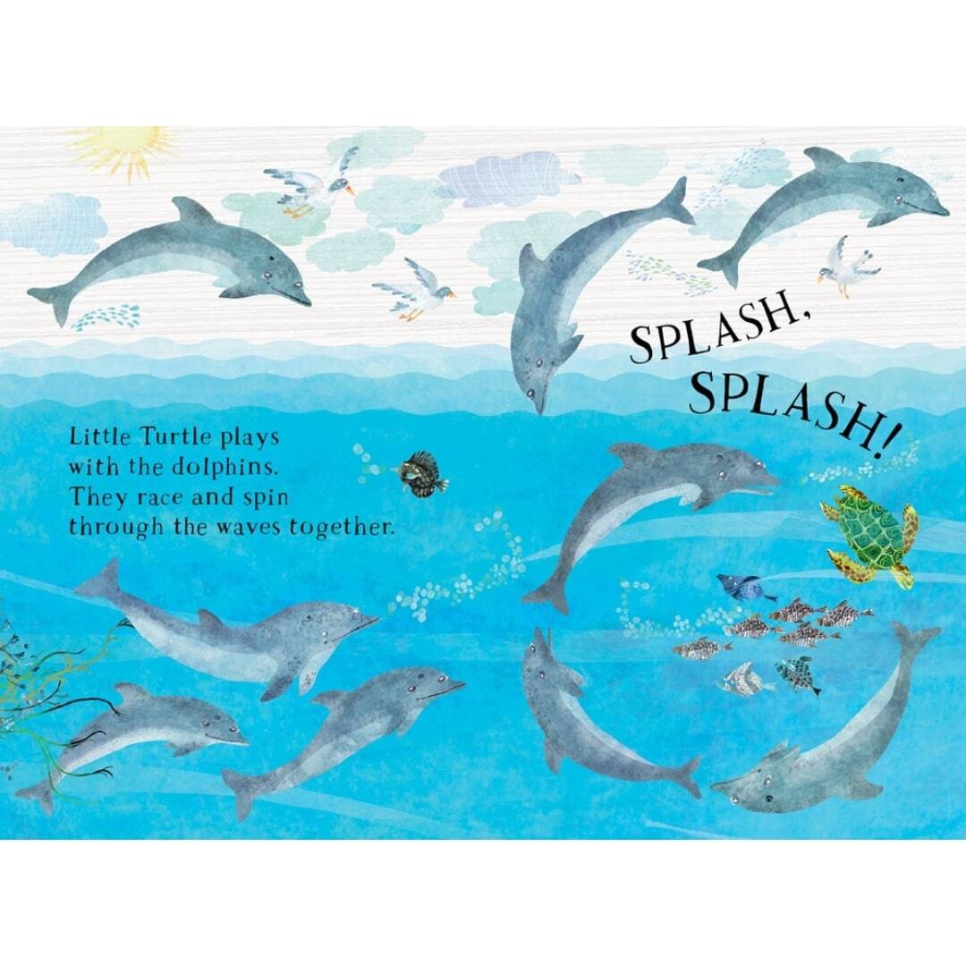 Little Turtle's Book of the Blue 3
