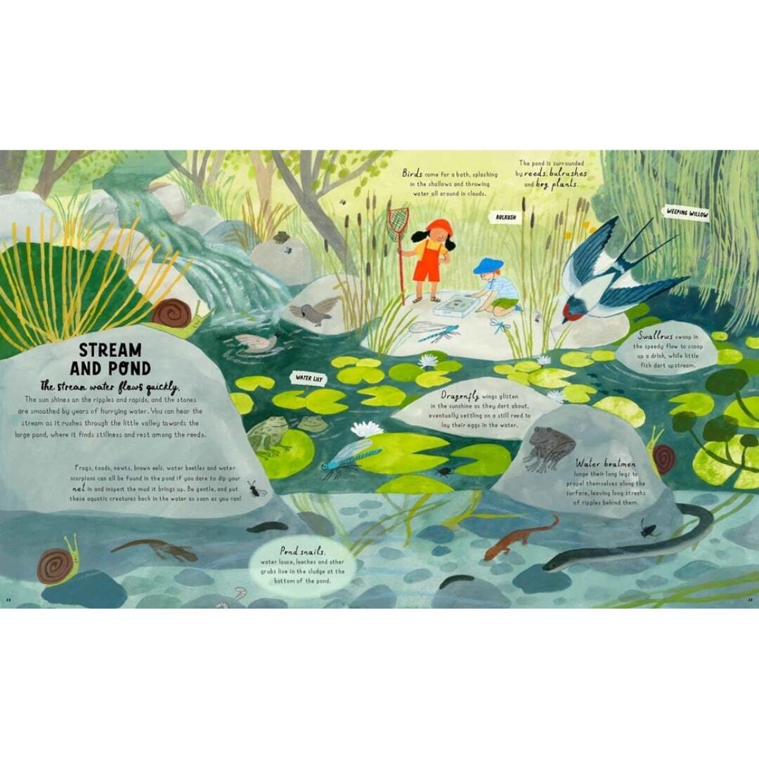 How to Grow a Garden 4