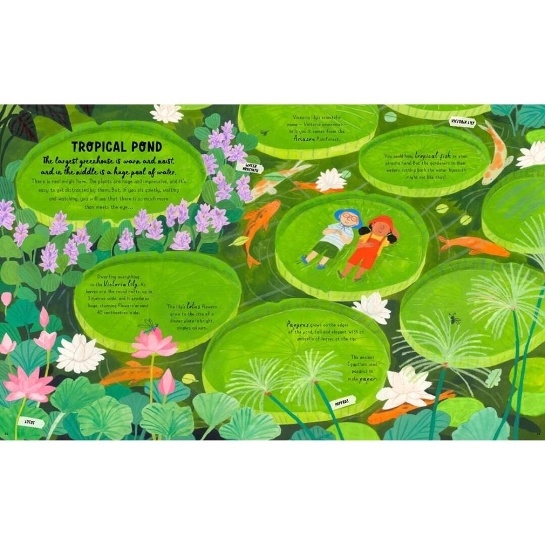 How to Grow a Garden 5