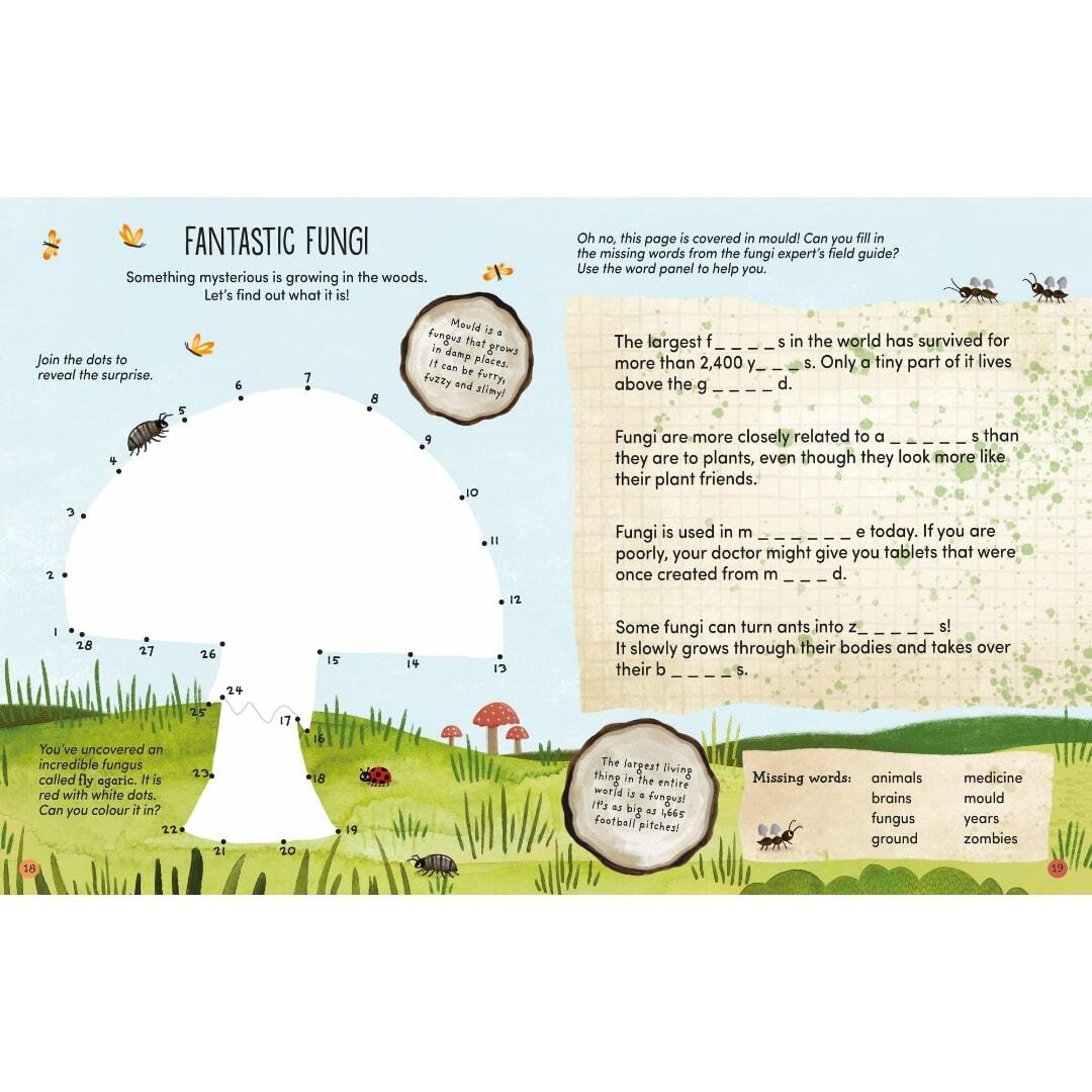 KEW Treehouses Sticker Activity Book 4