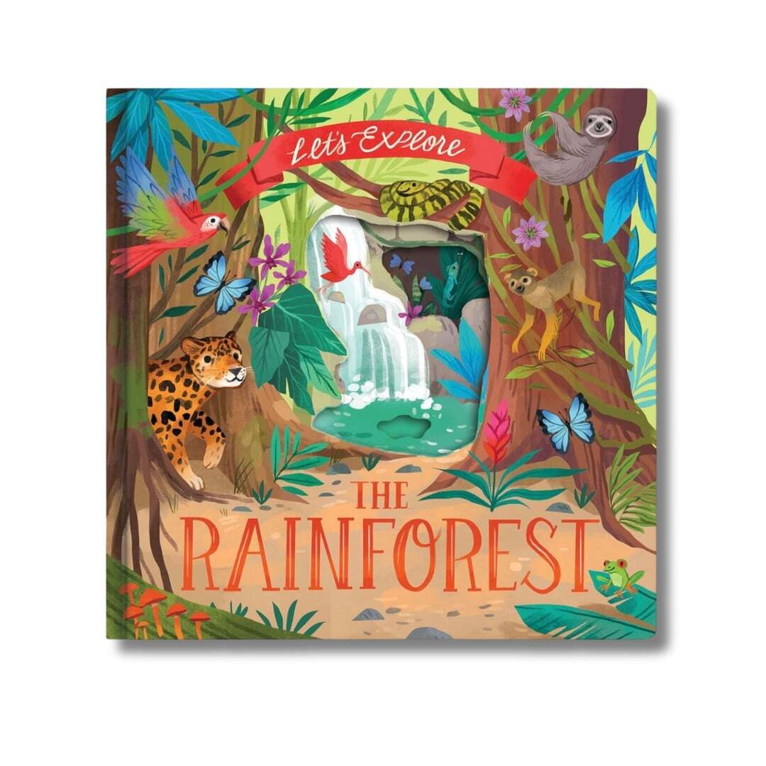 Let's Explore the Rainforest 1