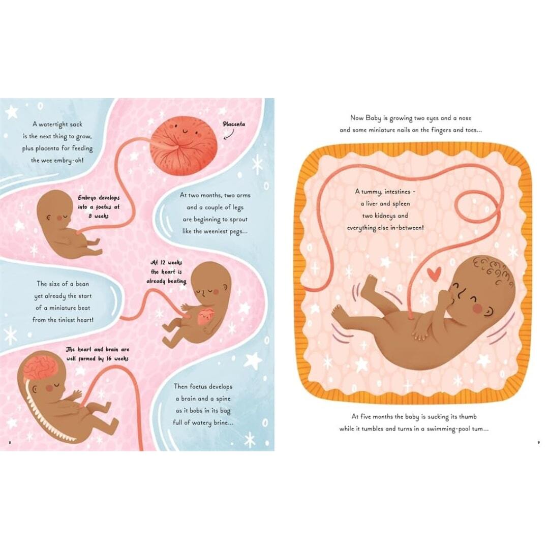 5 Minute Human Body Stories 4