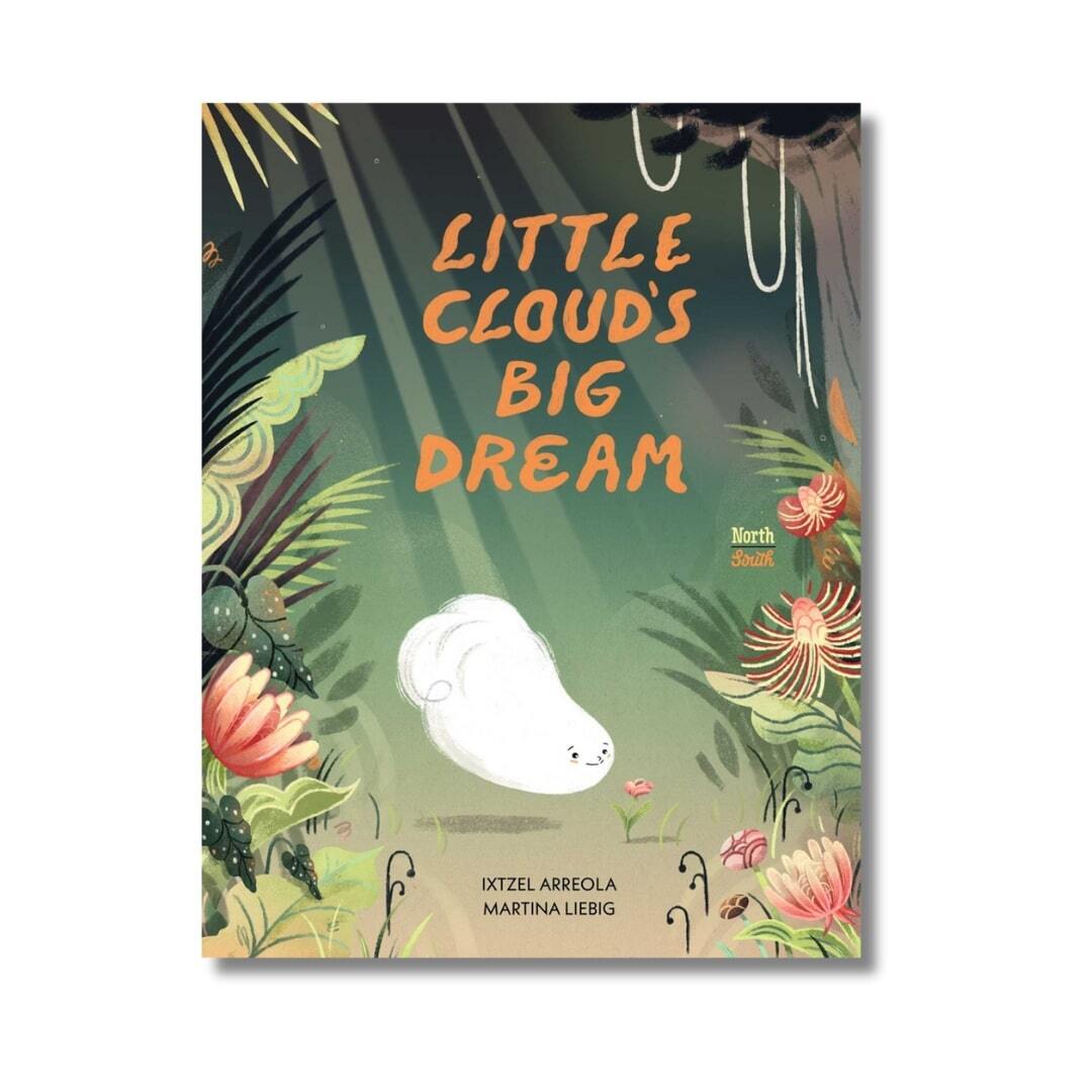 Little Cloud's Big Dream 1