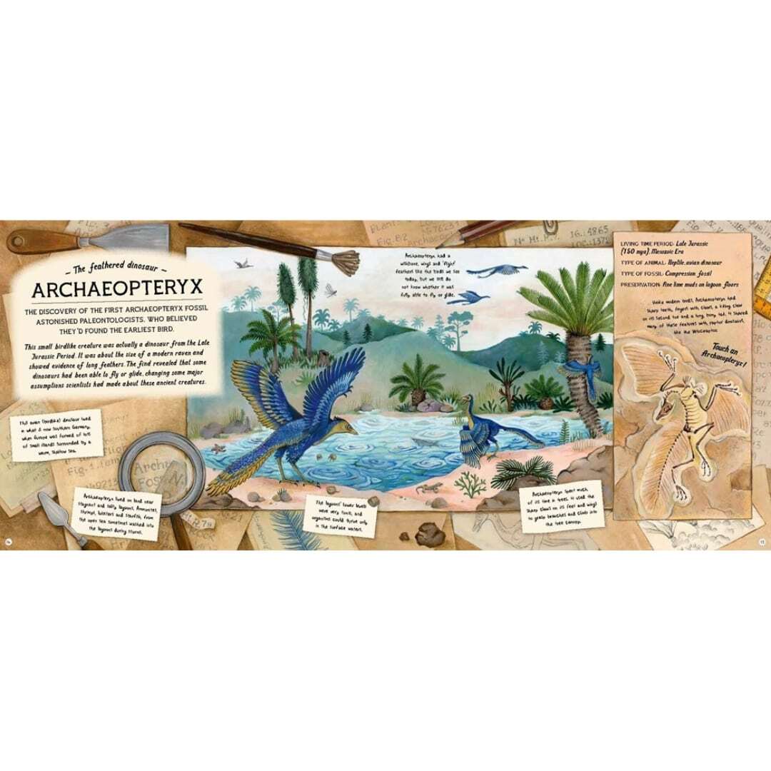 The Fossil Keeper's Treasure 6