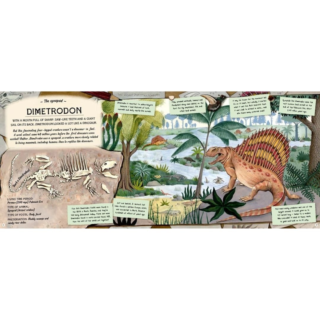 The Fossil Keeper's Treasure 3