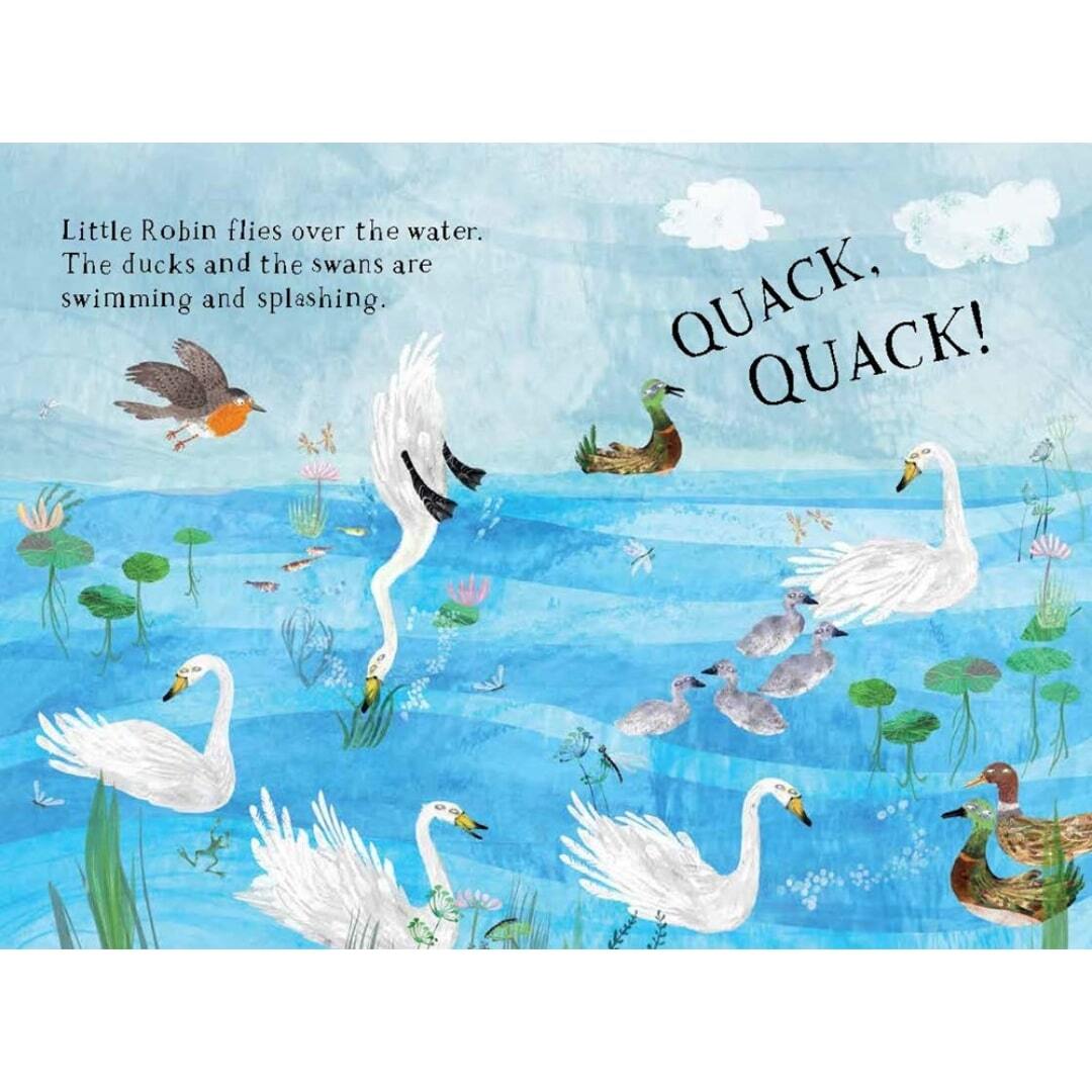 Little Robin's Book of Birds 3
