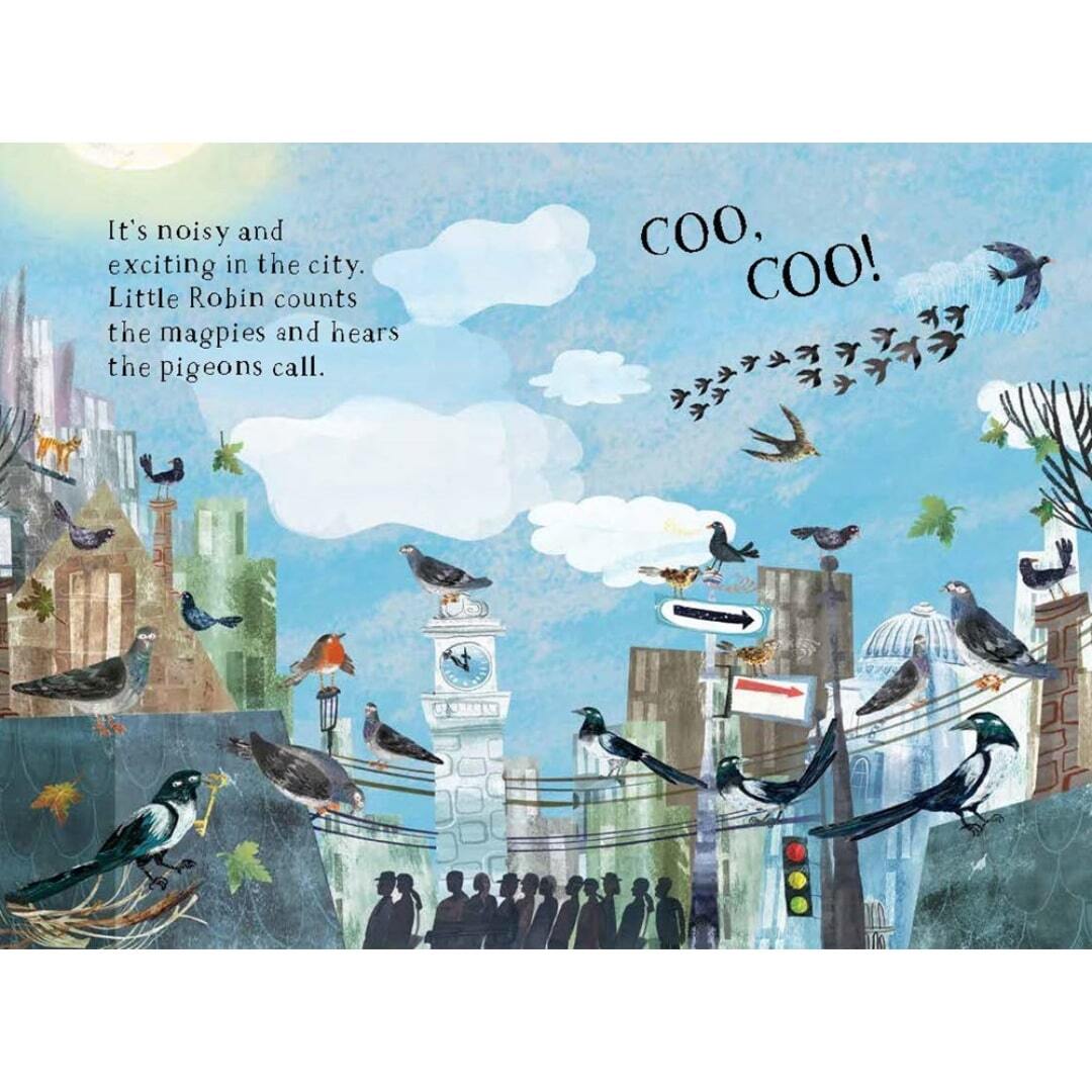 Little Robin's Book of Birds 4