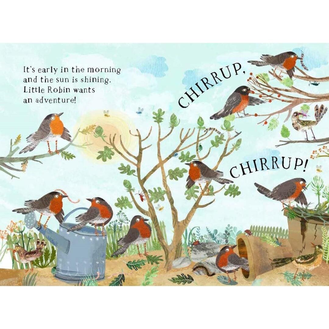 Little Robin's Book of Birds 2