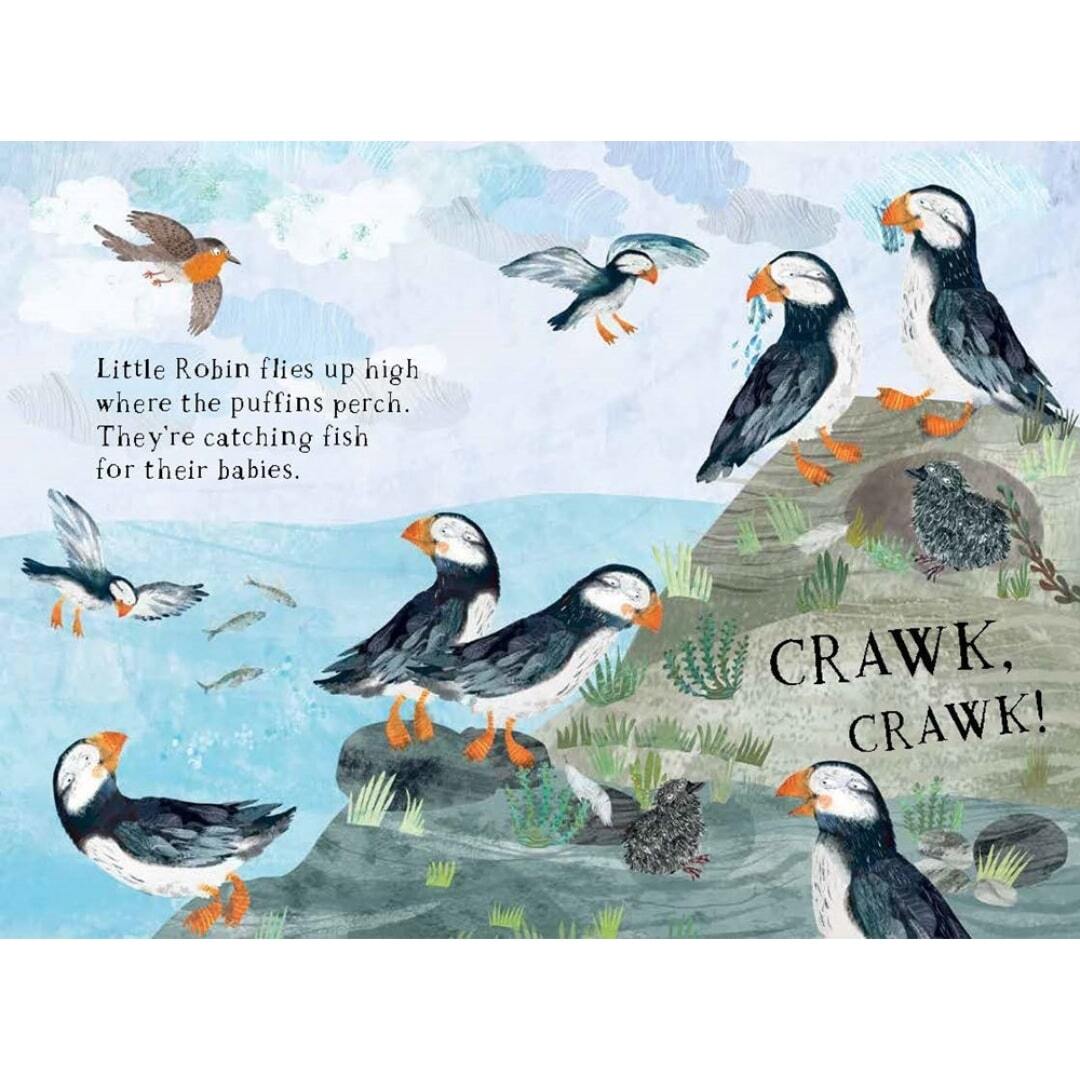 Little Robin's Book of Birds 5