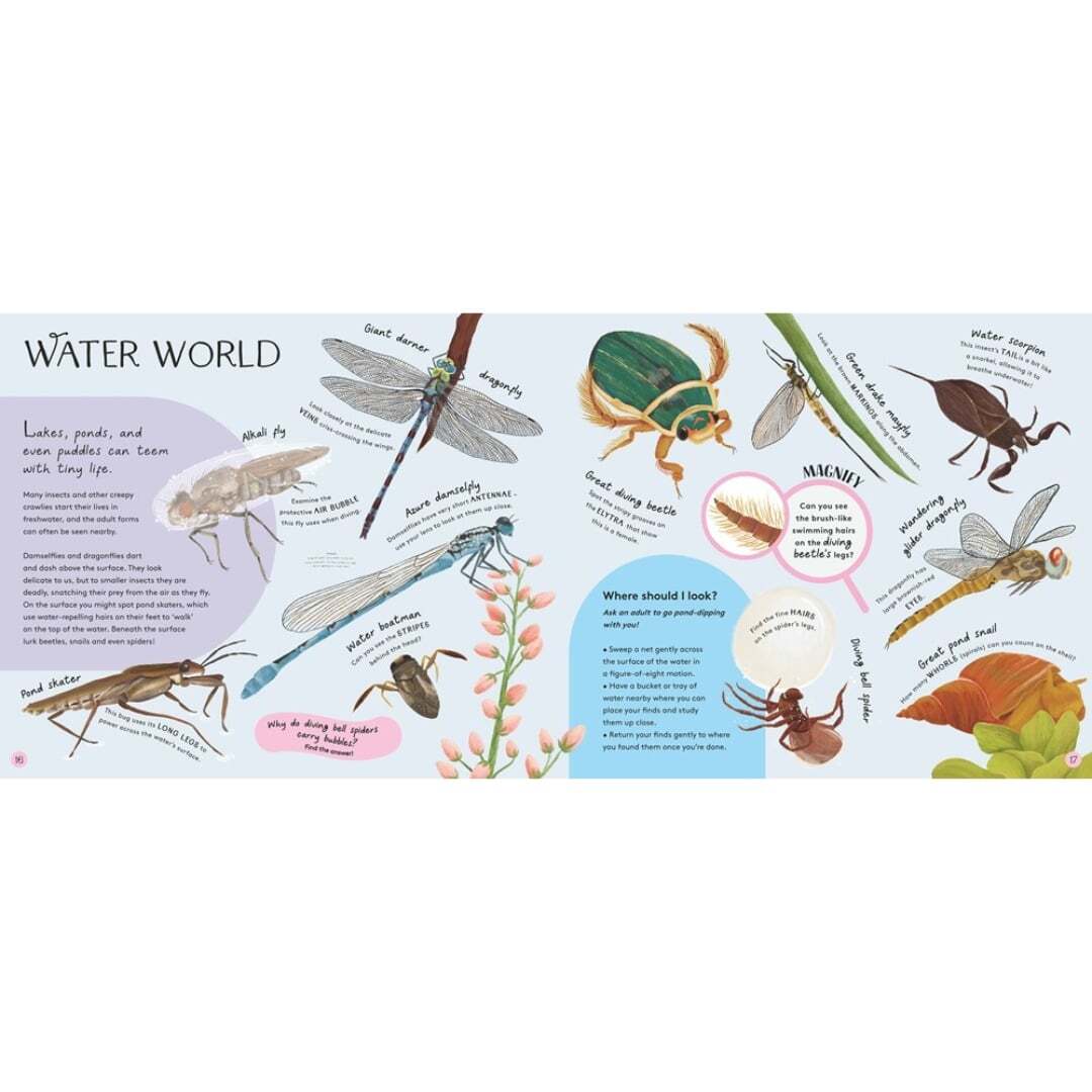 Minibeasts - Under the Magnifying Glass 3