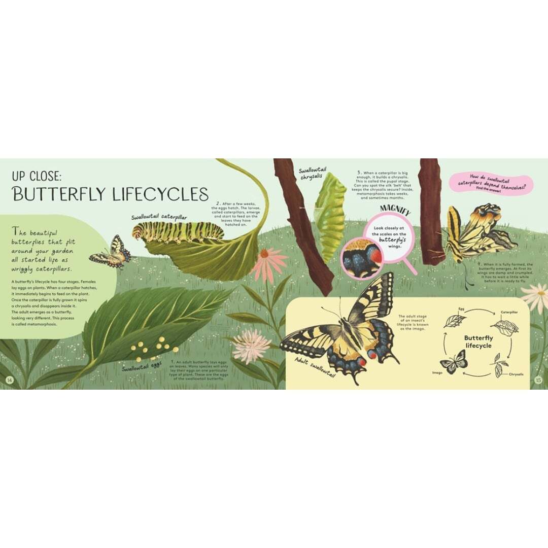 Minibeasts - Under the Magnifying Glass 2