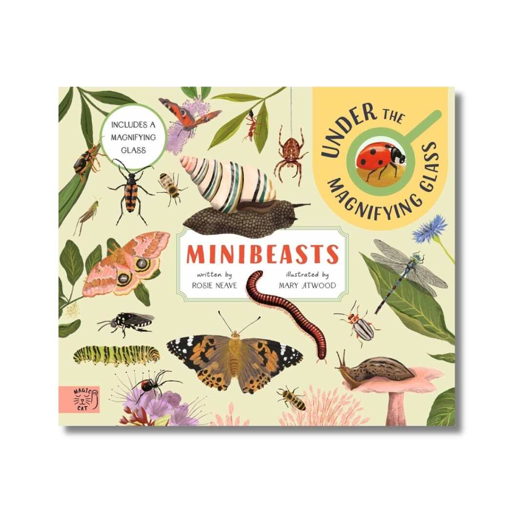 Minibeasts - Under the Magnifying Glass 1