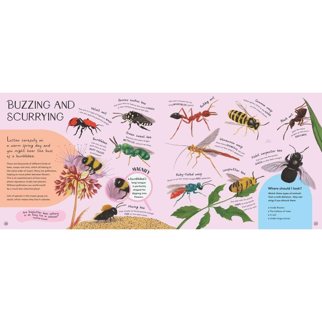 Minibeasts - Under the Magnifying Glass 4