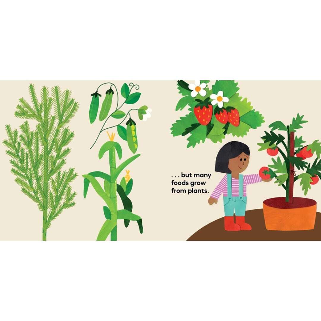 Our Food Grows 4