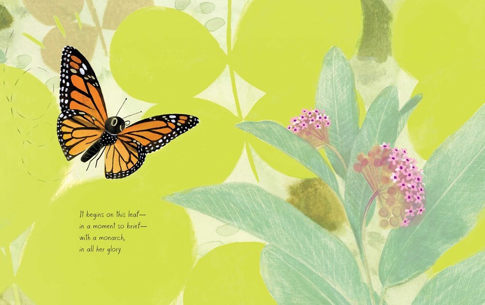 The Monarch 3