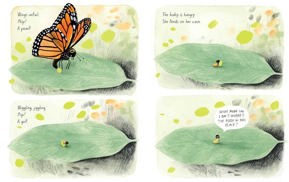 The Monarch 4