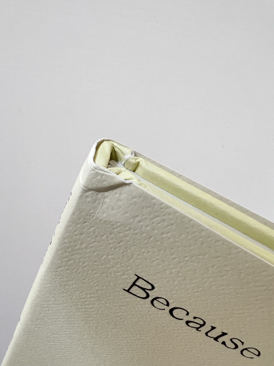 Because I had a teacher NG 2 Large