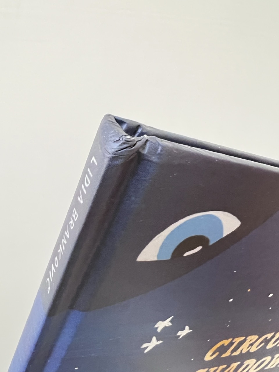 Circus of shadows NG 3 Large