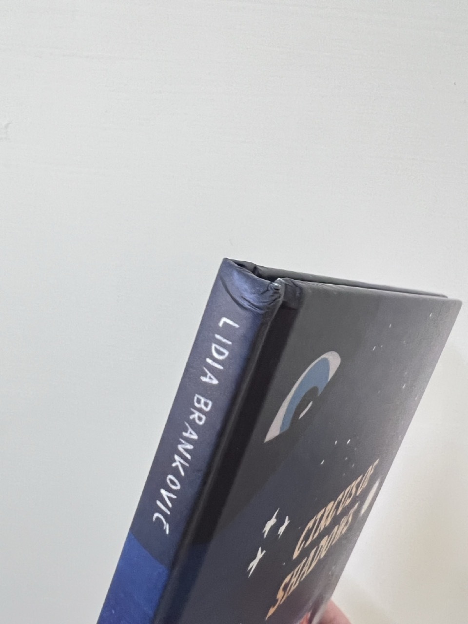 Circus of shadows NG 2 Large