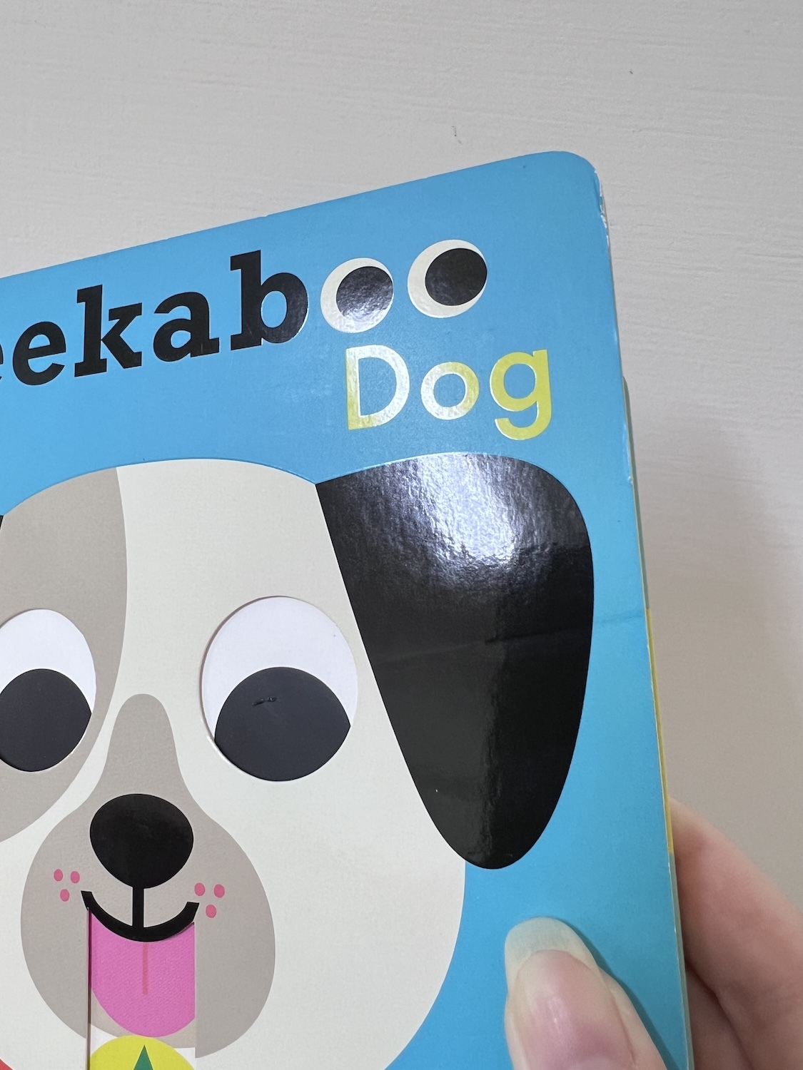 Peekaboo Dog NG 2