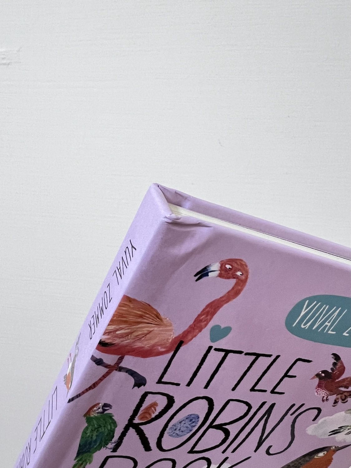 Little Robin's Book of Birds NG 2