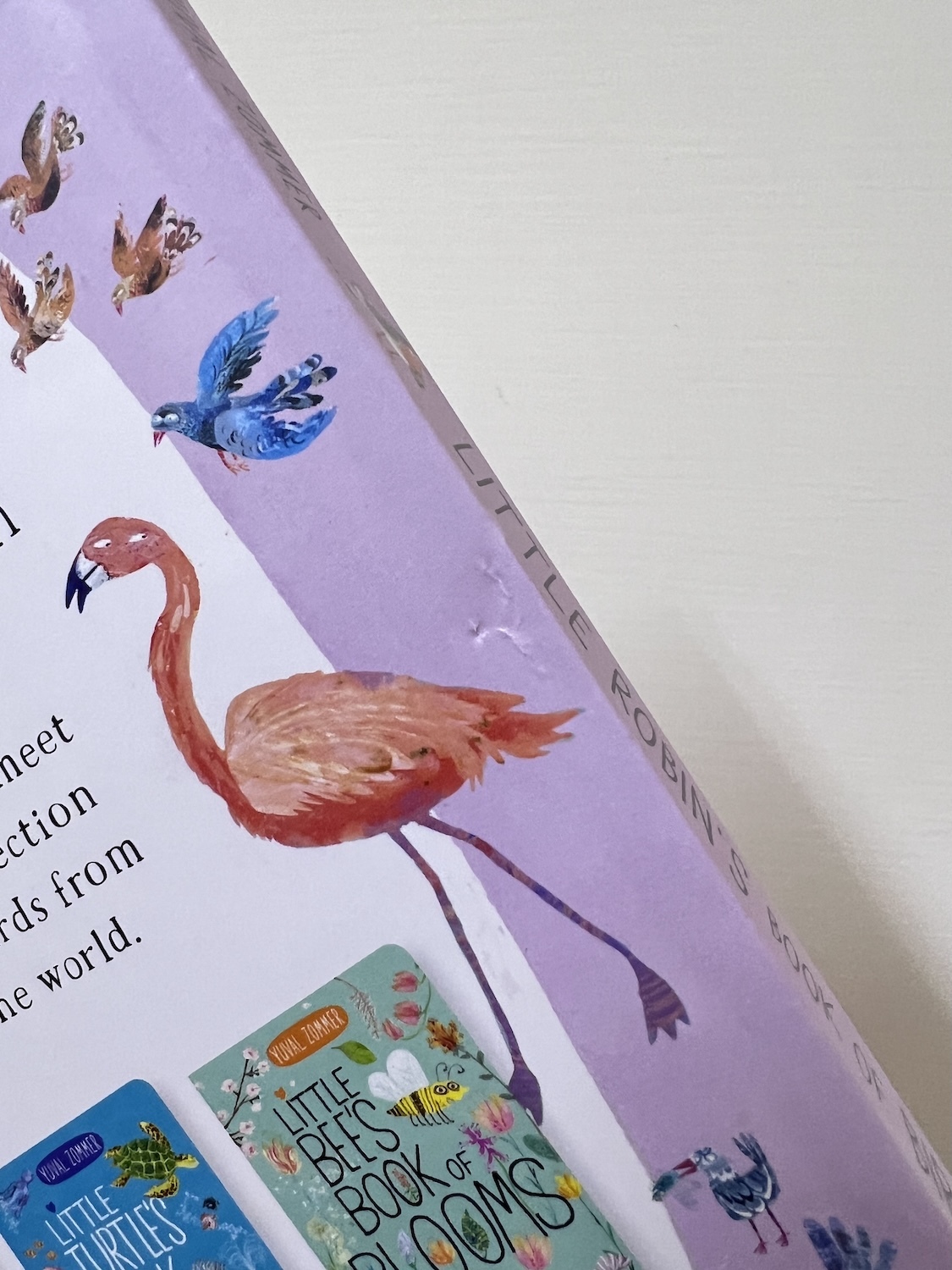 Little Robin's Book of Birds NG 3