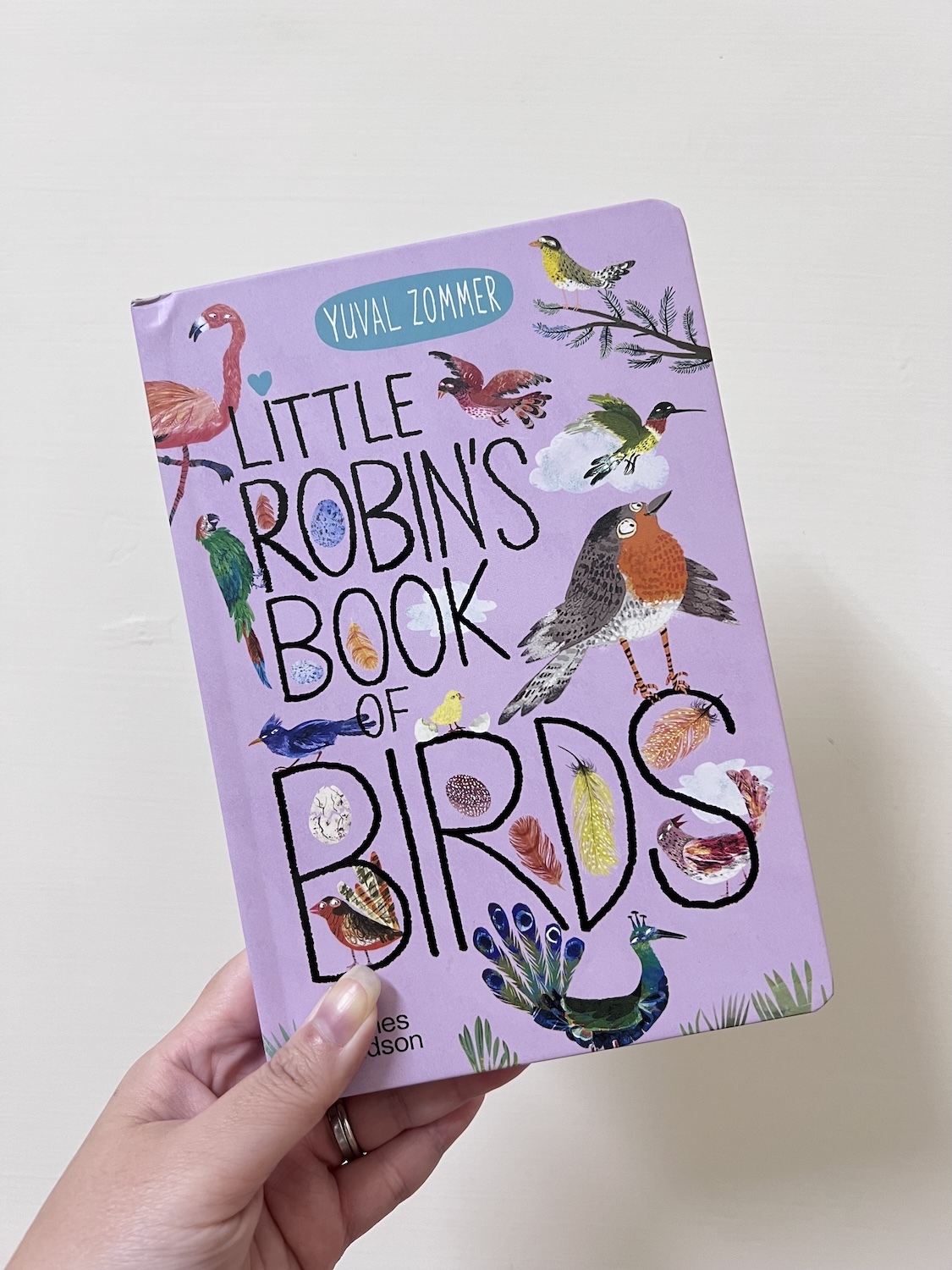 Little Robin's Book of Birds NG 1