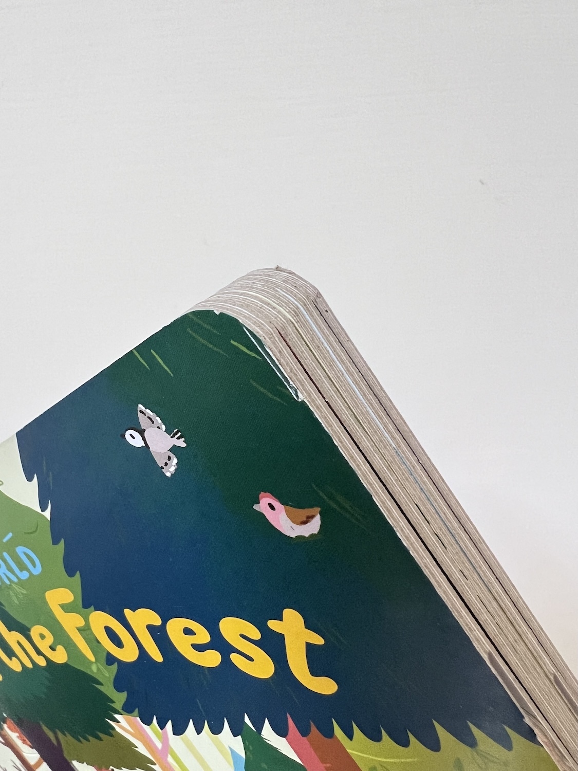 Little World In the Forest NG 2