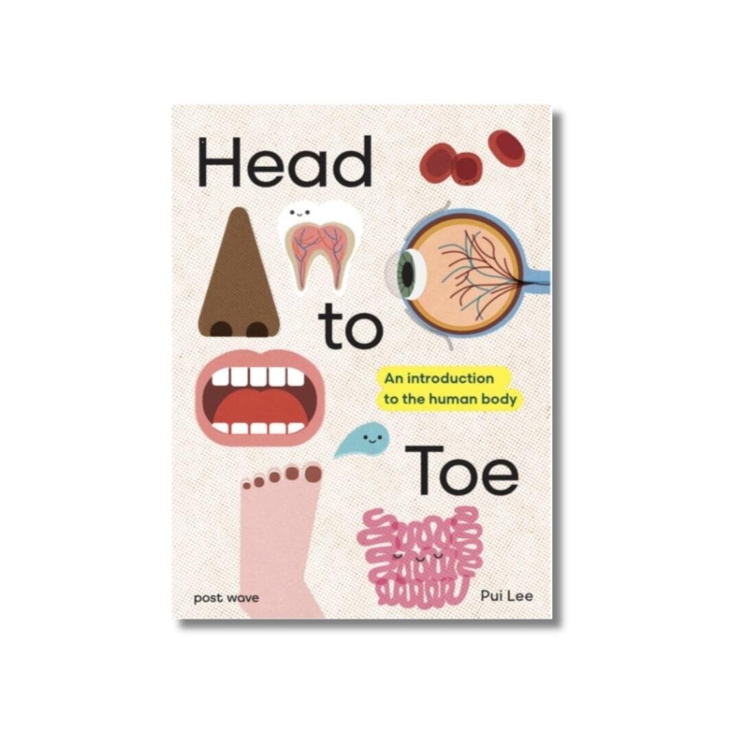 Head to Toe - An Introduction to the Human Body 1