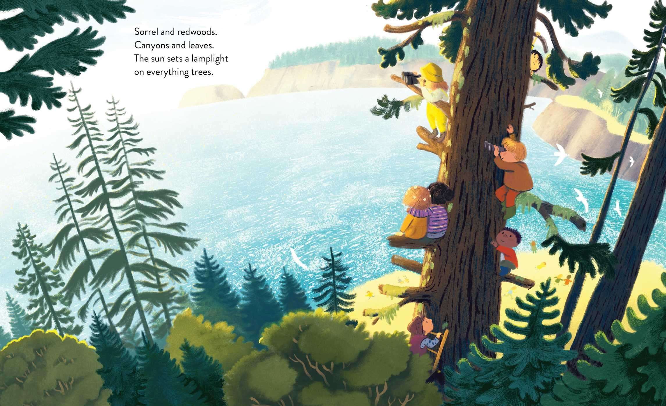The Everything Trail 4