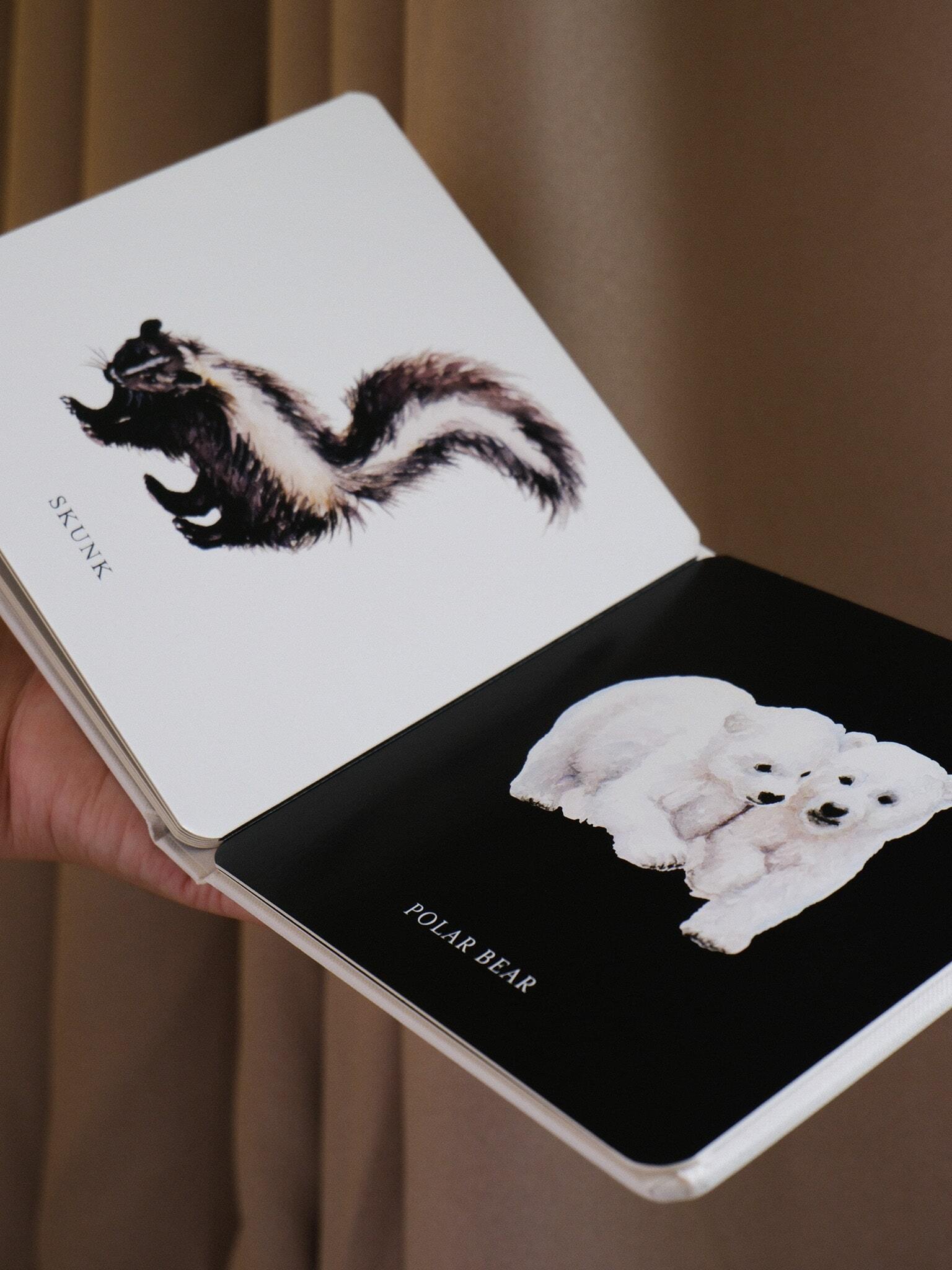 Baby's Black and White Contrast Book 3