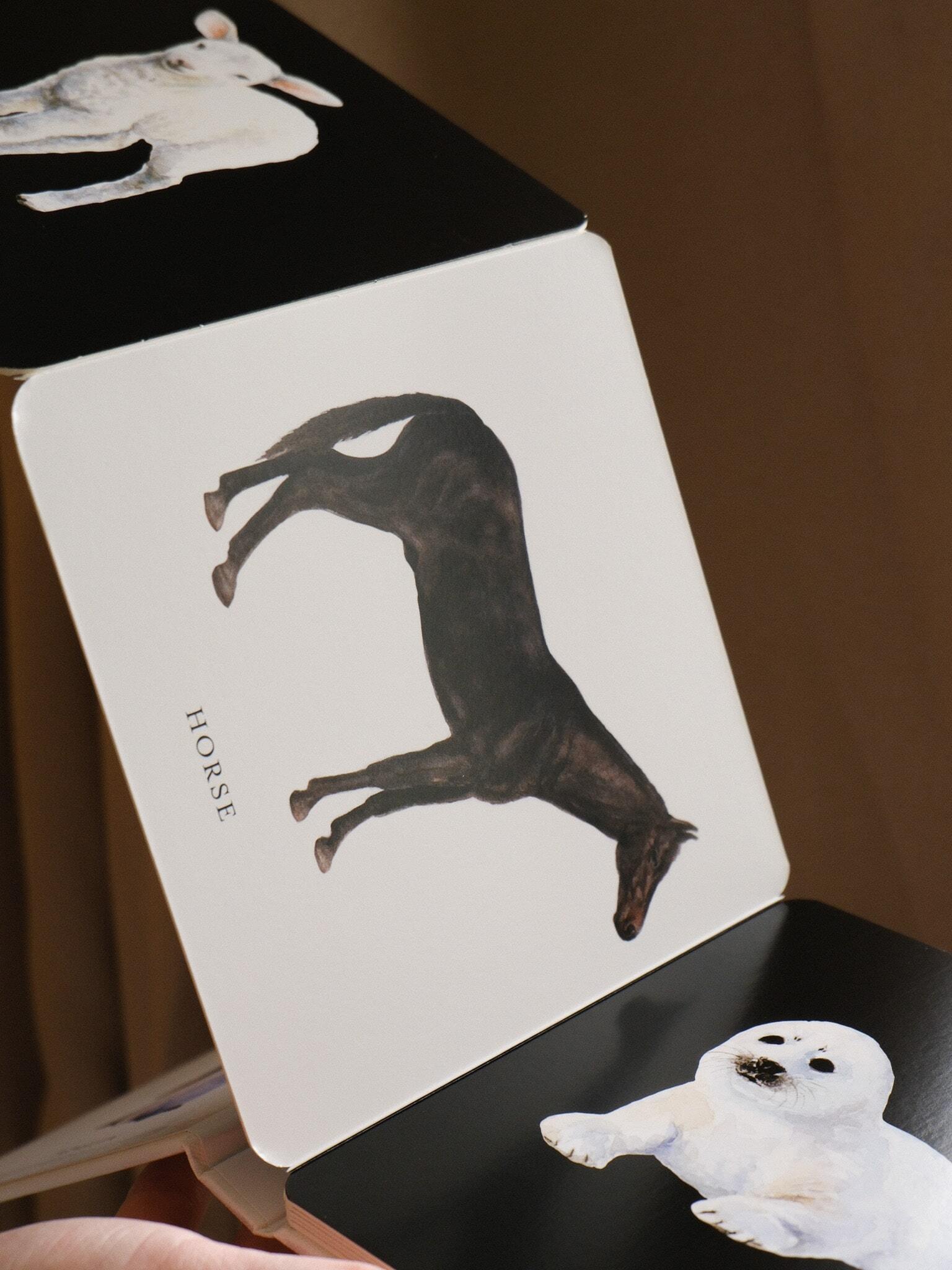 Baby's Black and White Contrast Book 7