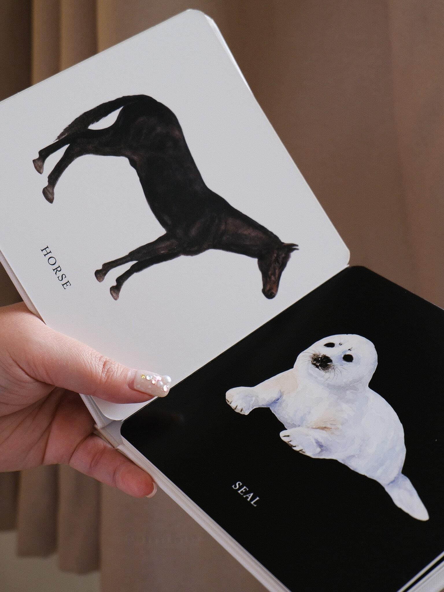 Baby's Black and White Contrast Book 6