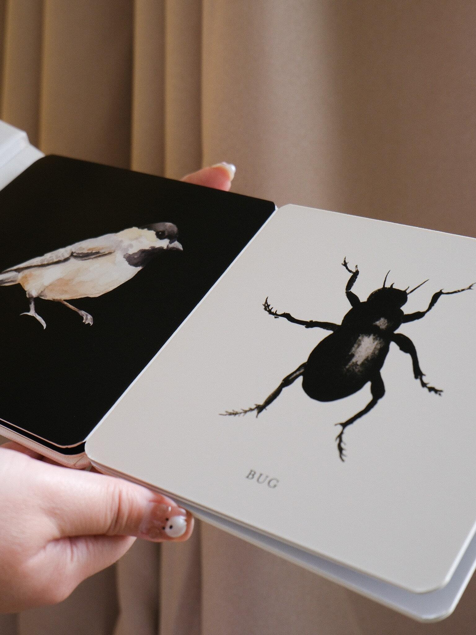 Baby's Black and White Contrast Book 4