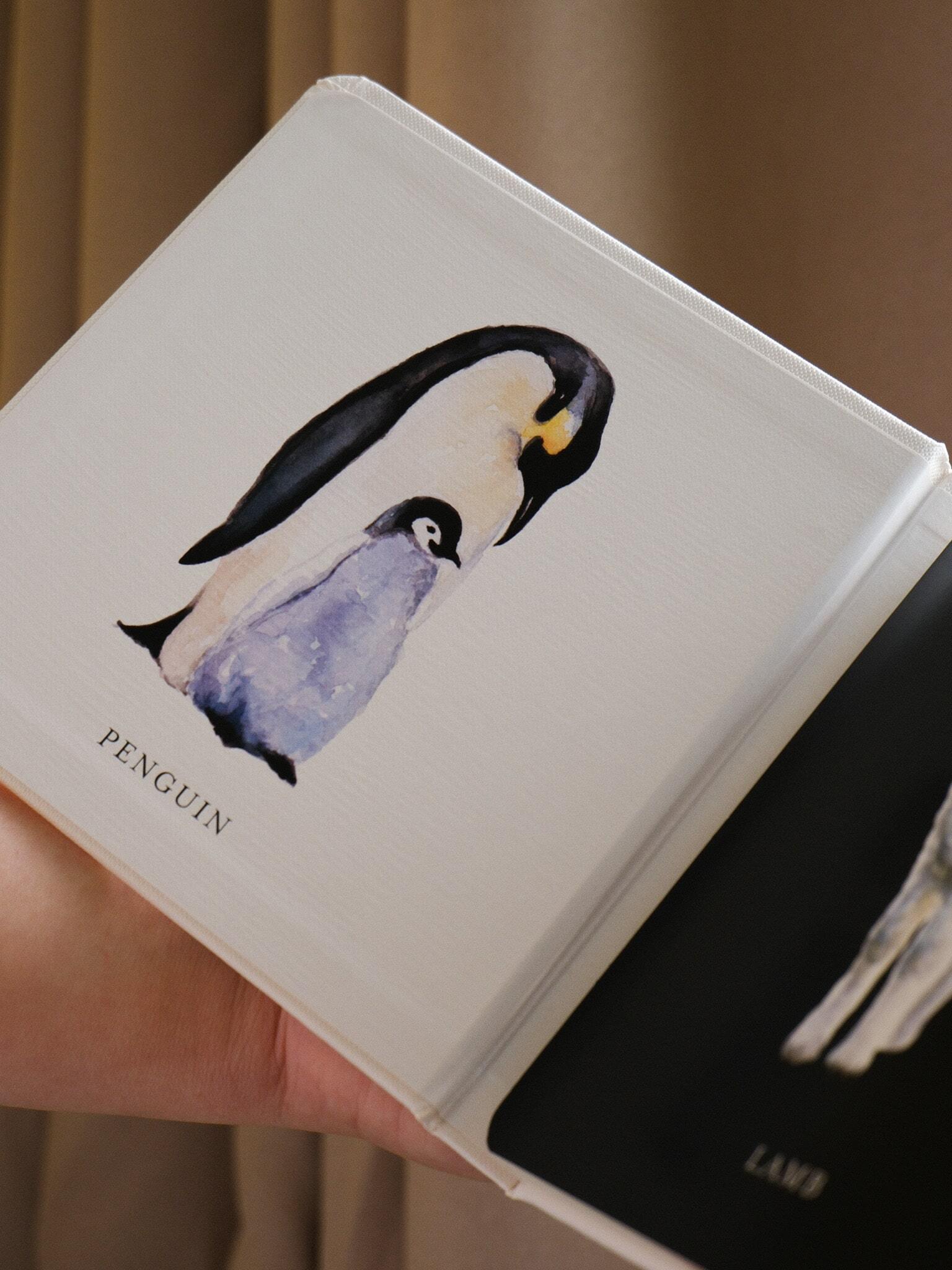 Baby's Black and White Contrast Book 2