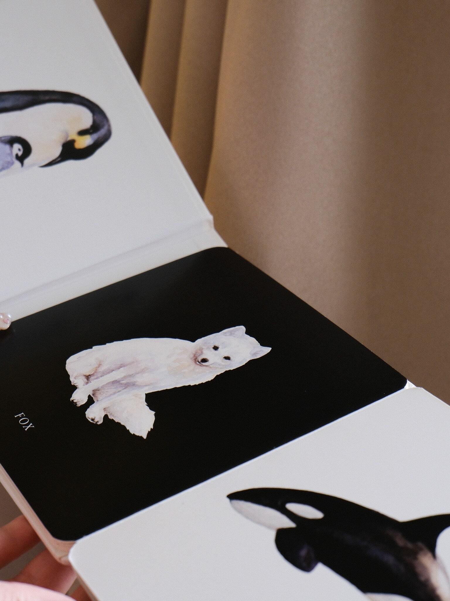 Baby's Black and White Contrast Book 5