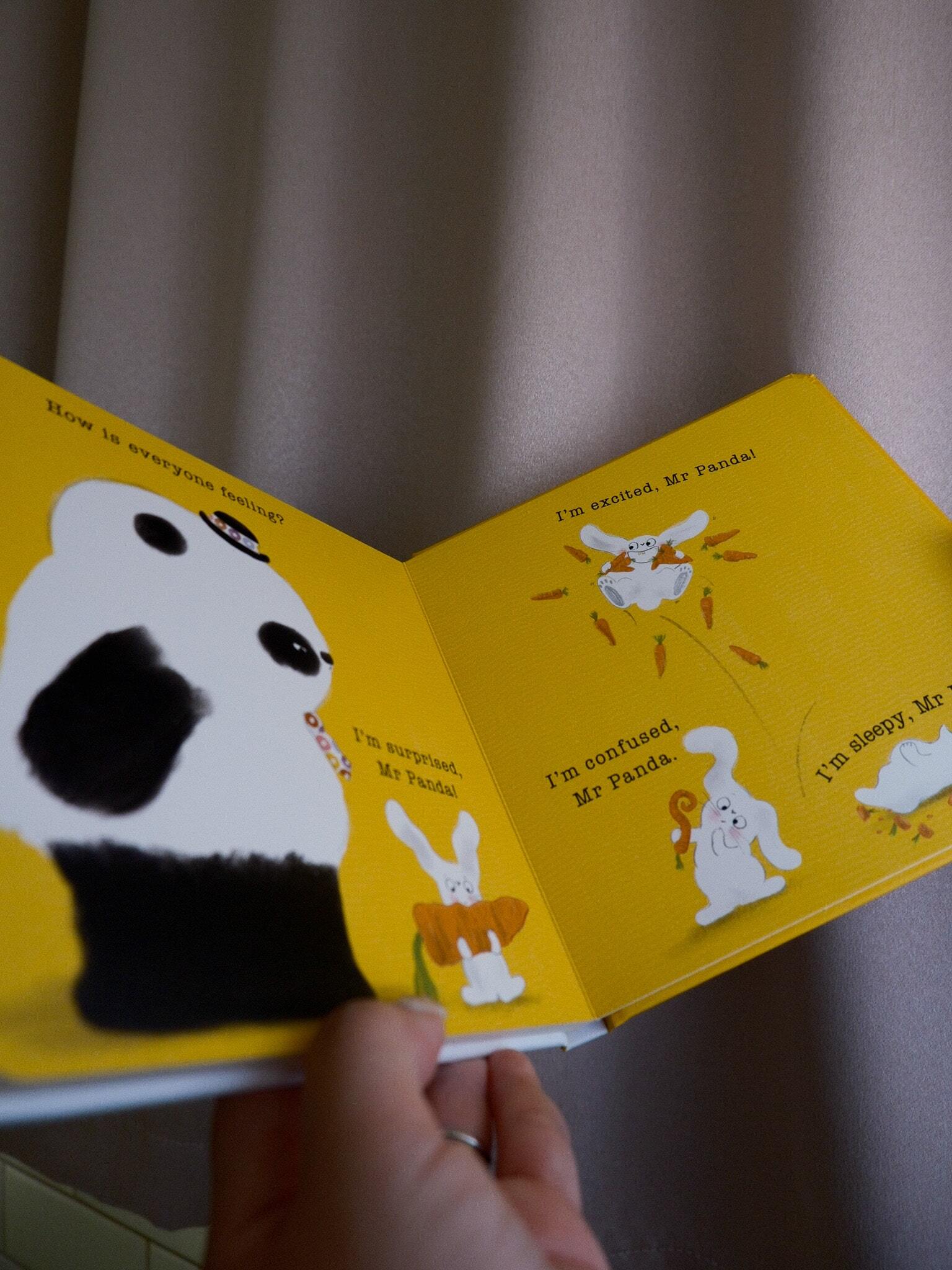 Mr Panda's Feelings Board Book 6