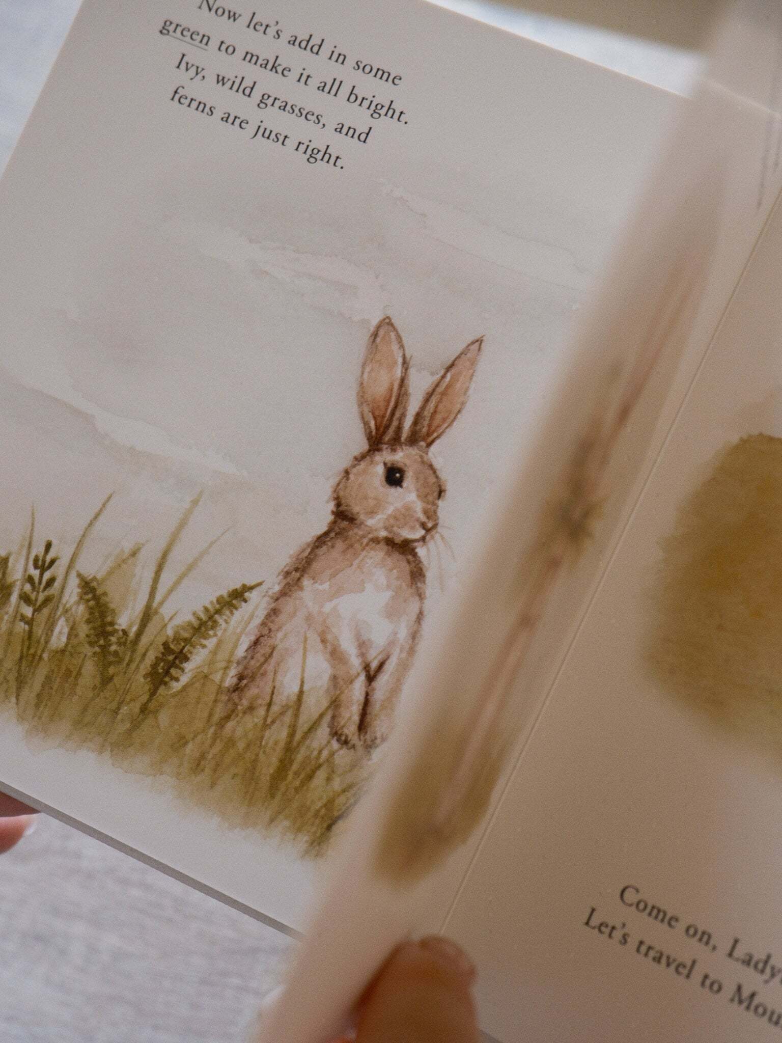 Our Little Adventure Series 7