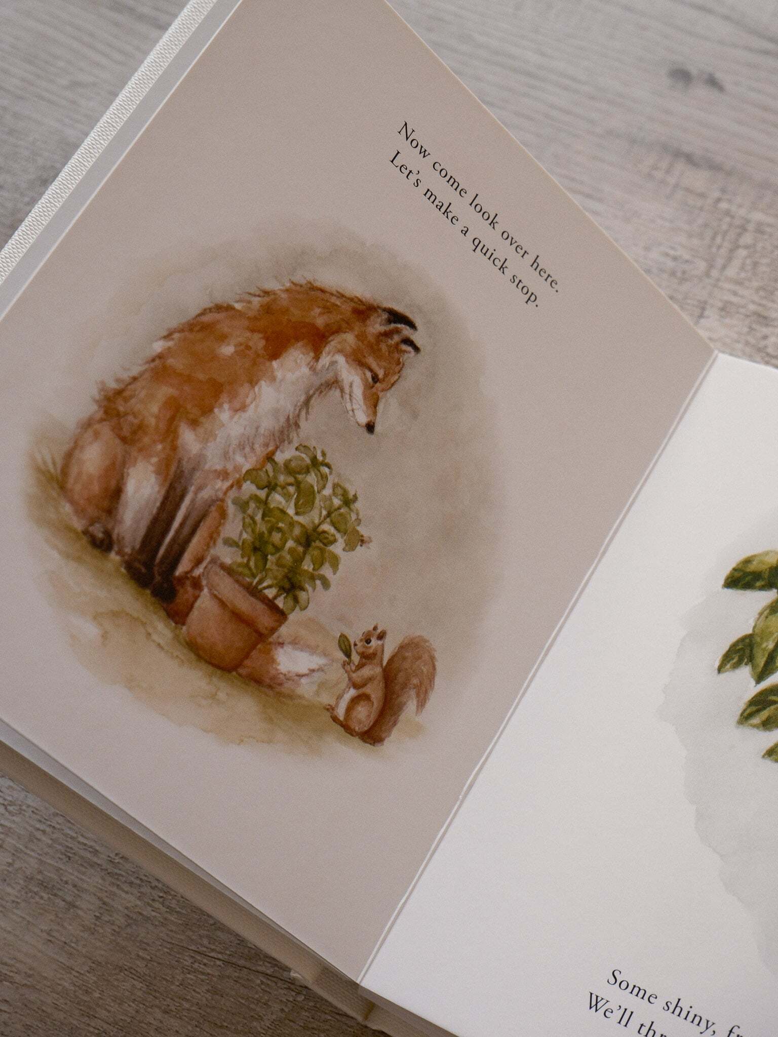 Our Little Adventure Series 8