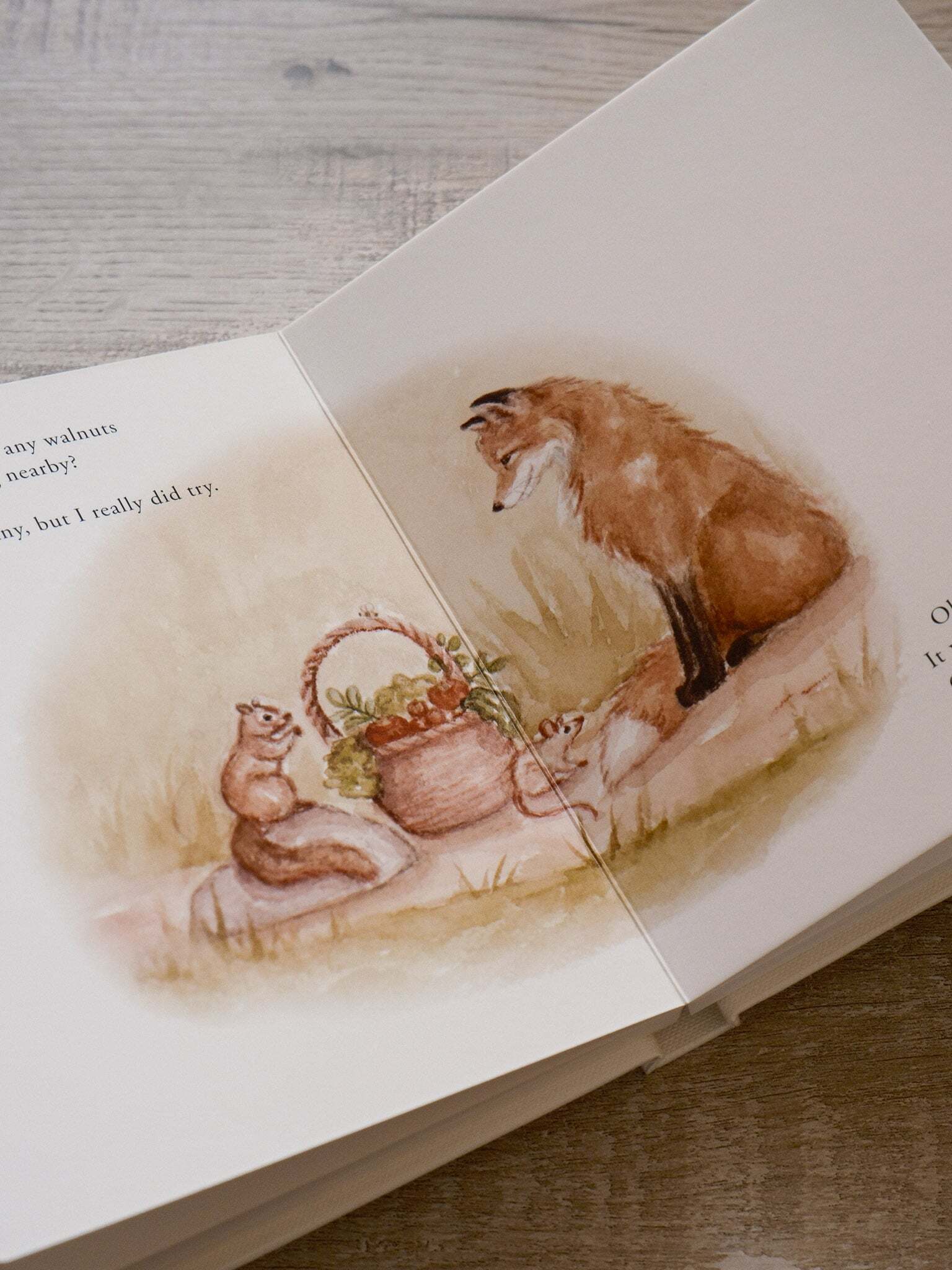 Our Little Adventure Series 9