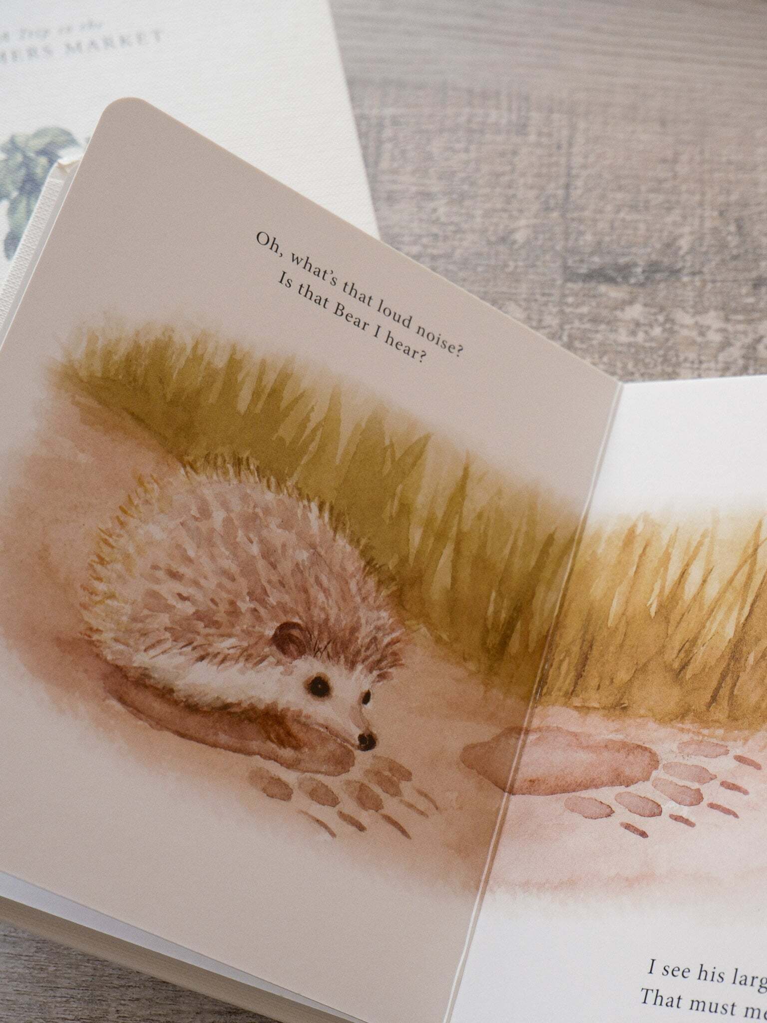 Our Little Adventure Series 12