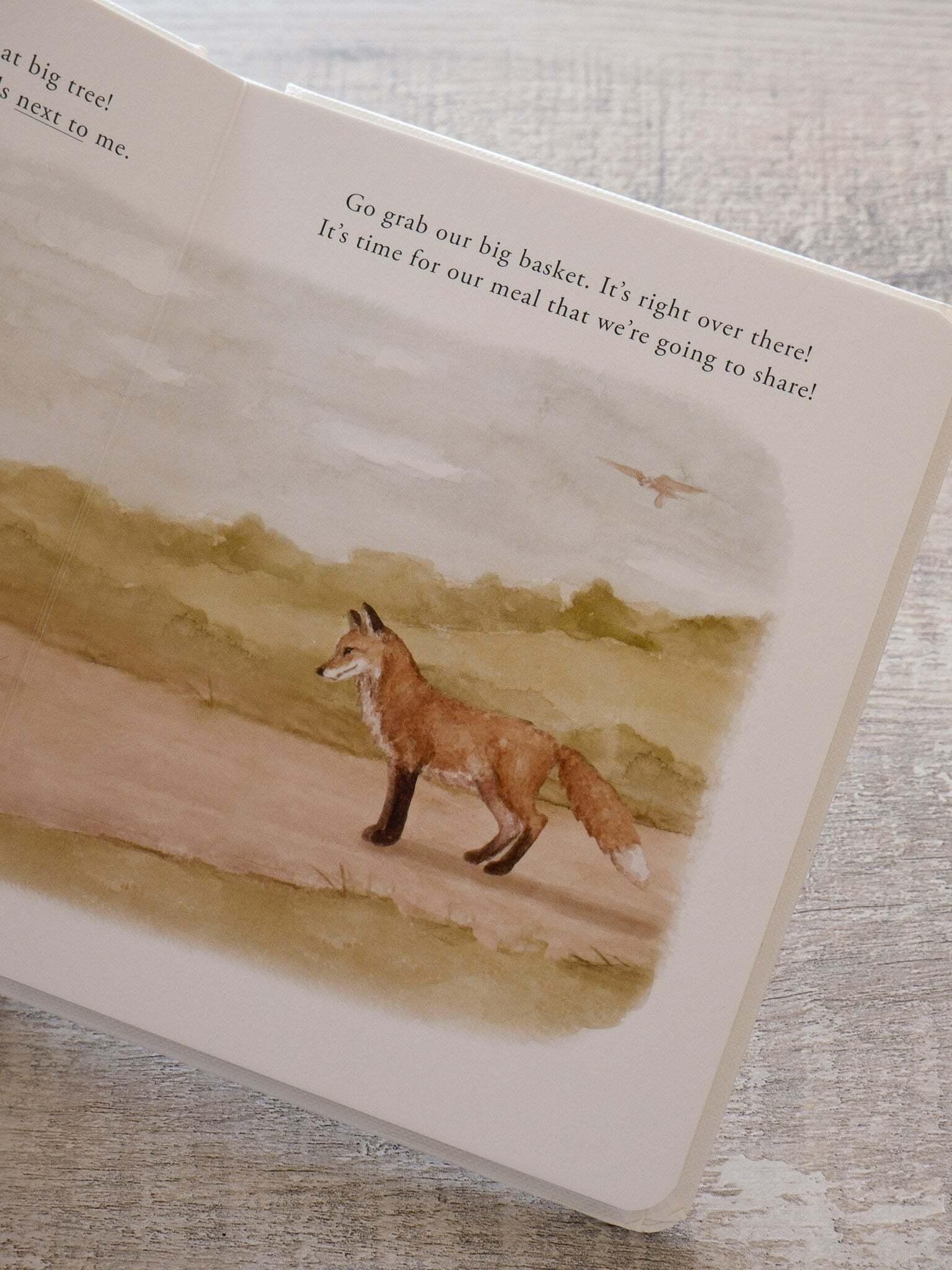 Our Little Adventure Series 10