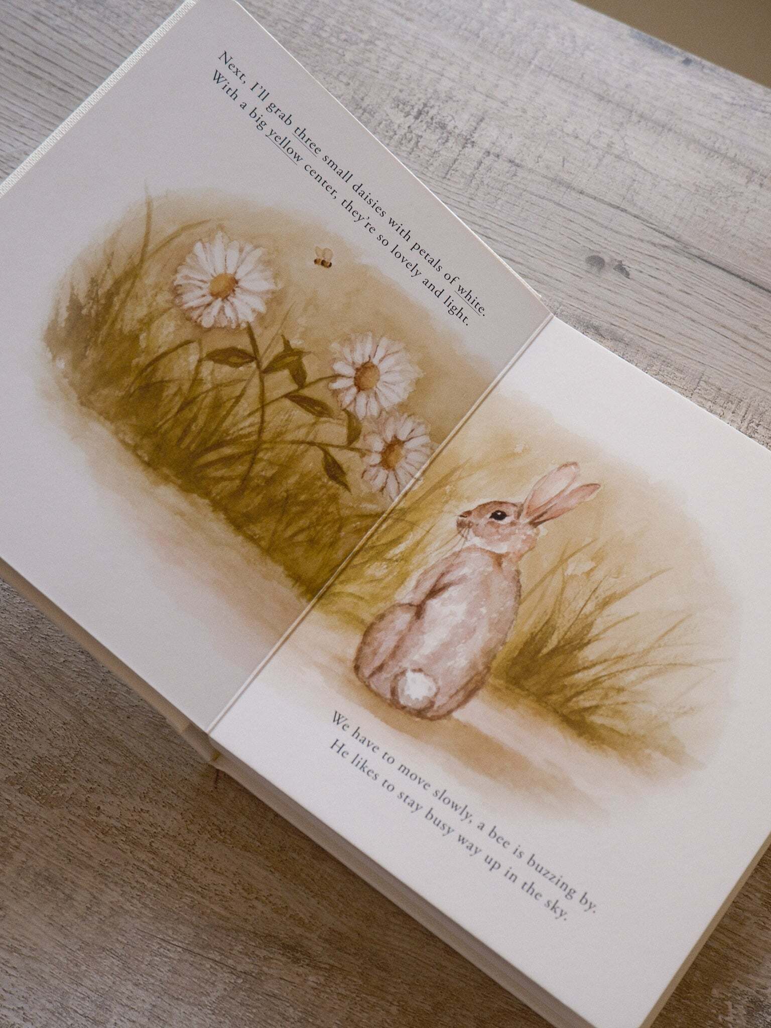 Our Little Adventure Series 5